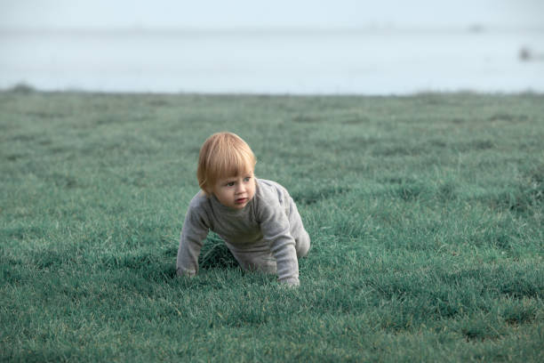 child creeps on the grass at seashore stock photo