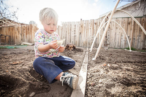 Child Gardening stock photo