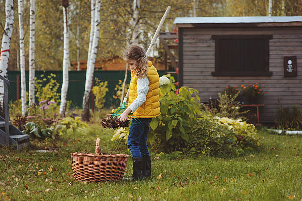 child girl playing little gardener in autumn and picking leaves stock photo