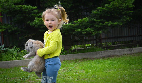 cute caucasian baby girl having fun with rabit, back yard vacation