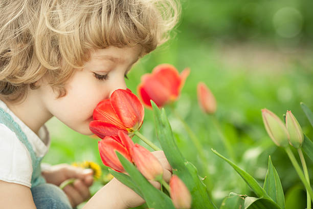 Child smelling tulip stock photo