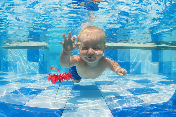 child swimming underwater for a red flower in the pool - swimming baby stockfoto's en -beelden