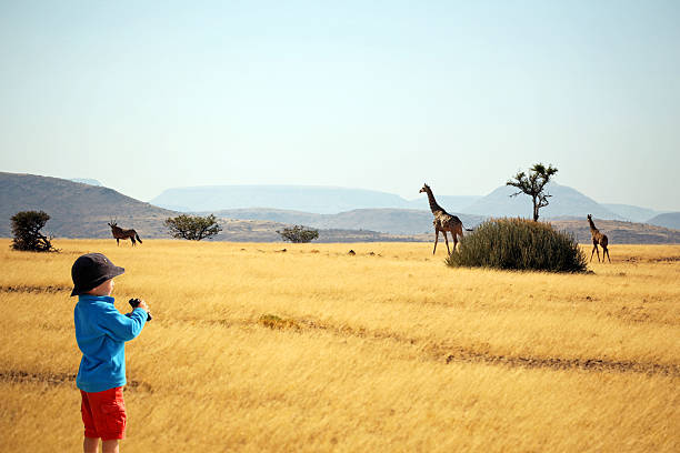 Child with binoculars watching animals on safari in Africa stock photo