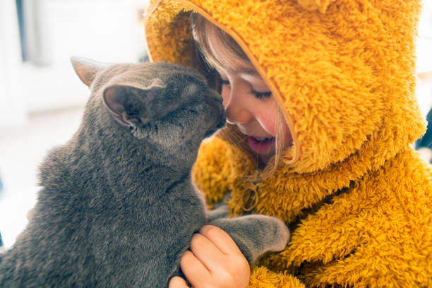 Child with kitty stock photo