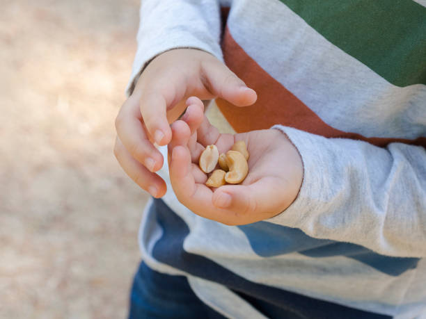 Child with nuts in hands, snack Child with nuts in hands, snack, healthy food, cashew. nut food stock pictures, royalty-free photos & images