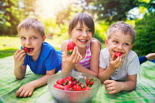 Three kids laughing, having fun on picnic and eating strawberries. Kids are lying on the front on the blanket in the garden, front yard or park. The girl is 10 and her brothers are 6 years old.