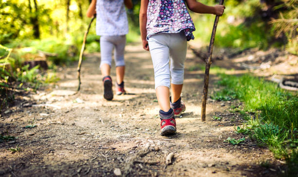 Children hiking in mountains or forest with sport hiking shoes. stock photo