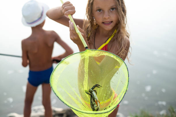 Children love fishing Children enjoying catching crab crabbing stock pictures, royalty-free photos & images