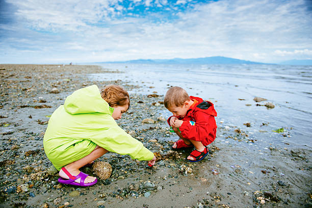 Children paying at Rathrevor Beach in Vancouver Island Children paying at Rathrevor Beach in Vancouver Island. Canada. low tide stock pictures, royalty-free photos & images