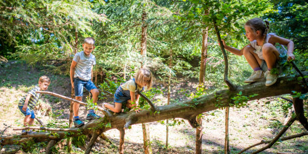 Children playing in forest stock photo