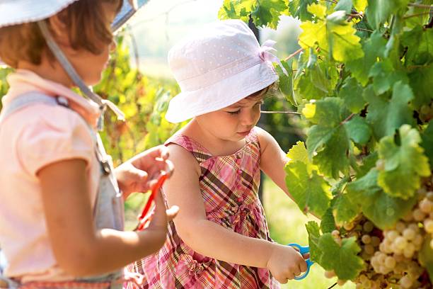 Have a Vineyard Pruning Party or Hire Contract Crew