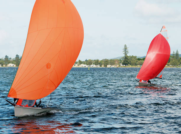 Children Sailing small sailboat with colourful orange and red sails on an inland lake. Children sailing in small colourful boats and dinghies for fun and in competition. Teamwork by junior sailors racing on saltwater Lake Macquarie. Photo for commercial use. capsizing stock pictures, royalty-free photos & images