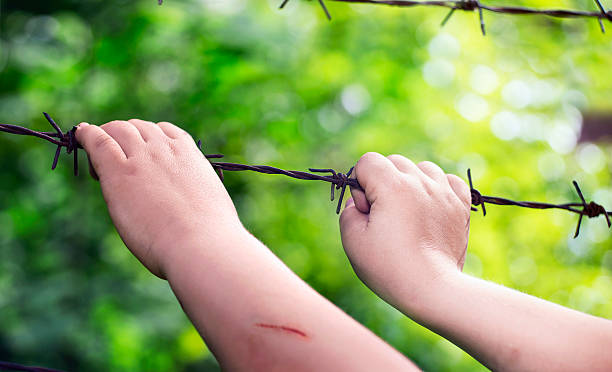Child's hands on a rusty barbed wire stock photo