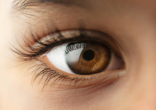 Child's human Eye Macro - close up close to stock pictures, royalty-free photos & images
