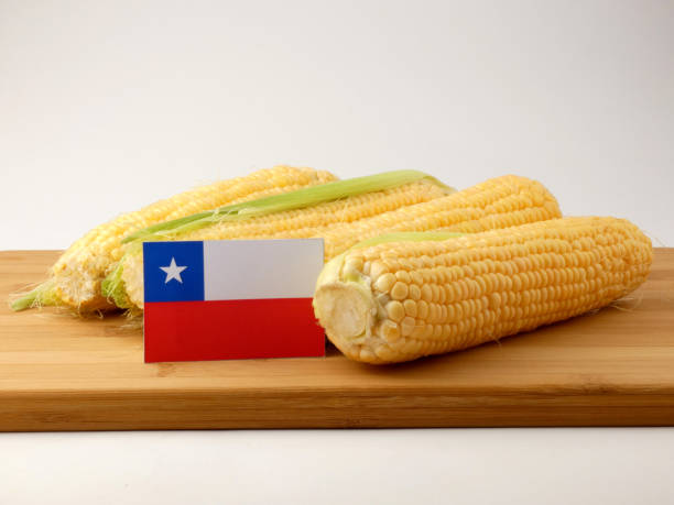 白い背景に分離されたトウモロコシと木製パネルのチリの旗 - とうもろこし チリ共和国 ストックフォトと画像
