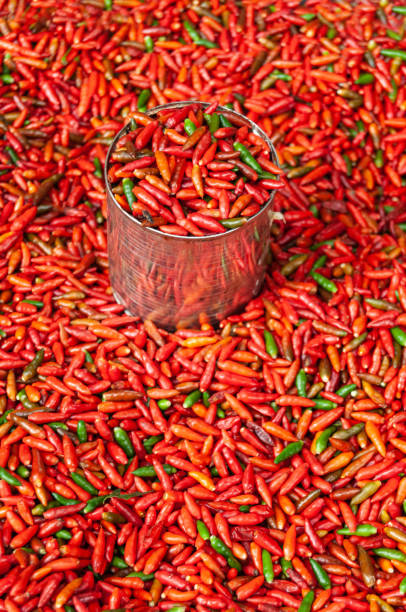 chili as main food ingredient in timor leste - timor hot imagens e fotografias de stock