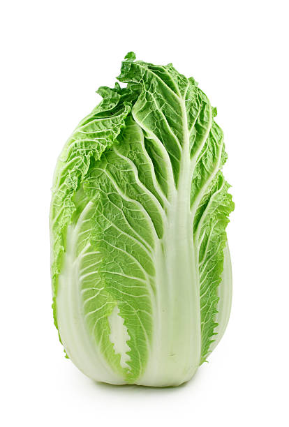Chinese cabbage standing isolated stock photo