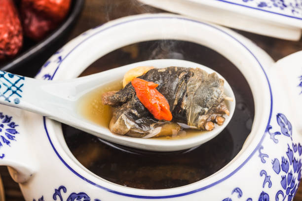 Chinese cuisine: morel and turtle stew soup stock photo