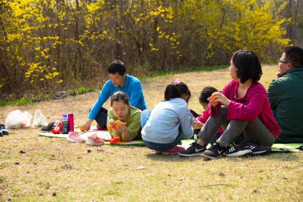 Chinese family sitting on the lawn enjoy beautiful spring day outdoors in Olympic Forest Park stock photo