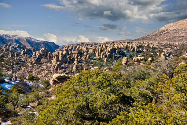 Field of Rhyolite Formations Chiricahua National Monument in Arizona, USA is known for its many rock formations of rhyolite. This view of Echo Canyon was taken from Massai Point. jeff goulden rock formation stock pictures, royalty-free photos & images