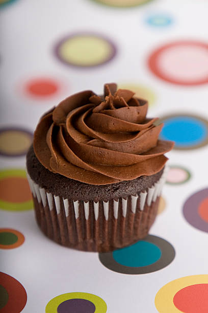 Chocolate Frosted Cupcake stock photo