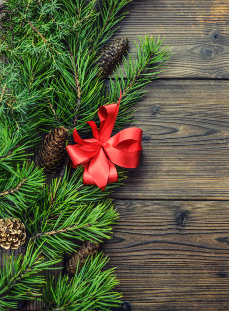 Christmas background with branches and bow on wooden plank stock photo