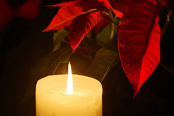 Christmas Candle and Poinsettia stock photo
