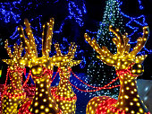 istock Christmas lights 1087139568