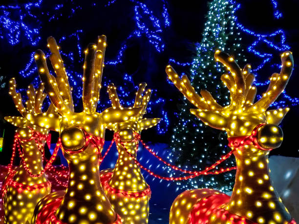 Christmas lights Christmas lights of reindeers christmas lights stock pictures, royalty-free photos & images