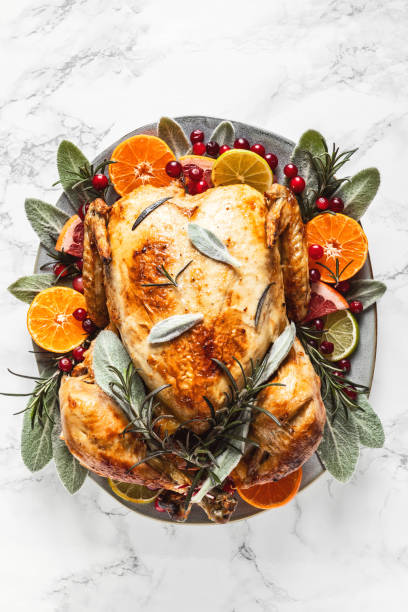 Christmas or Thanksgiving turkey. Prepeared roasted turkey for festive dinner stock photo