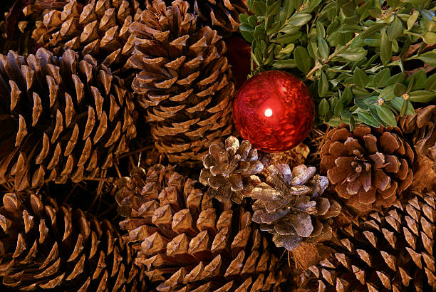Christmas Ornament and Pine Cones stock photo