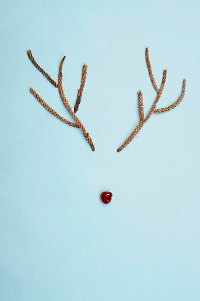 Christmas rudolf reindeer antlers and cherry nose on blue Christmas rudolf reindeer rustic antlers and cherry nose on blue rudolph the red nosed reindeer stock pictures, royalty-free photos & images