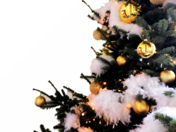 Christmas tree background with empty white space stock photo