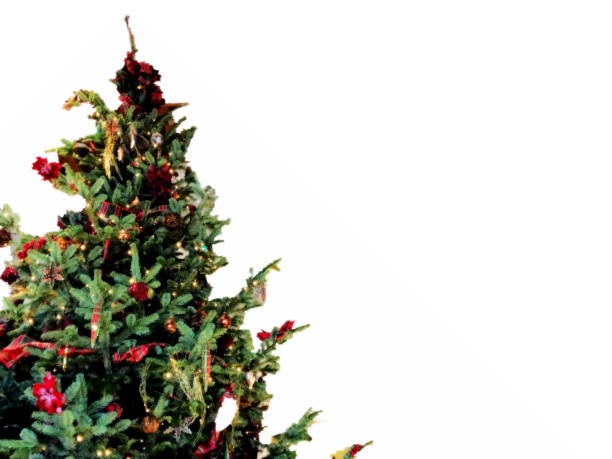 Christmas tree background with empty white space stock photo