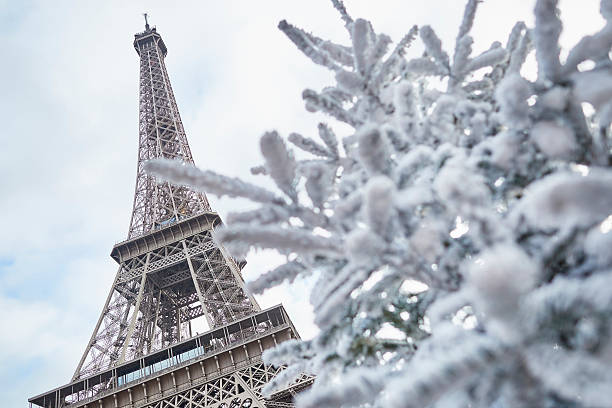 Christmas tree covered with snow near the Eiffel tower stock photo
