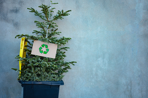 New year tree after celebration with recycling sign on cardboard thrown on the street