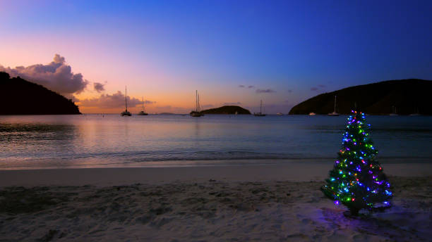 Christmas tree on a tropical beach in the Caribbean stock photo