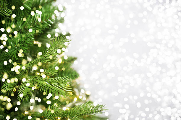 Christmas Tree Christmas Tree light through trees stock pictures, royalty-free photos & images