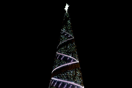 A beautiful tall Christmas tree decorated with bright lights and a garland on a black background of the night sky.