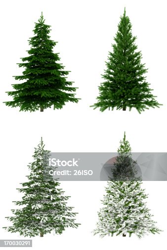 istock Christmas Trees COLLECTION / SET on Pure White Background (65Mpx-XXXL) 170030291