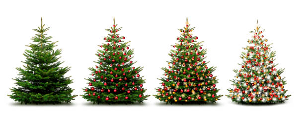 noel ağaçları - christmas tree stok fotoğraflar ve resimler