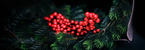 Christmas wreath, green pine branches and red berries stock photo