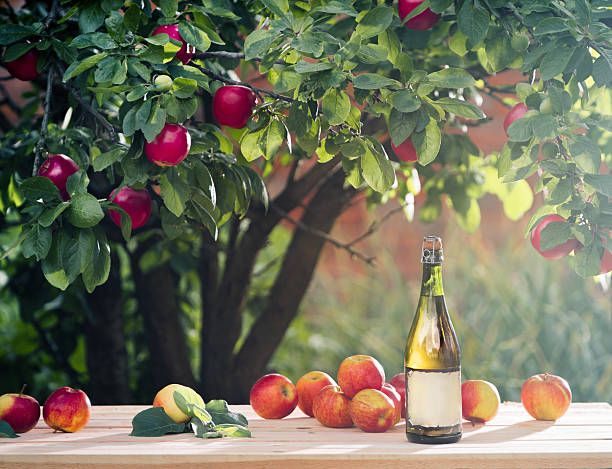 cider is under the apple tree branch cider is under the apple tree branch cider stock pictures, royalty-free photos & images