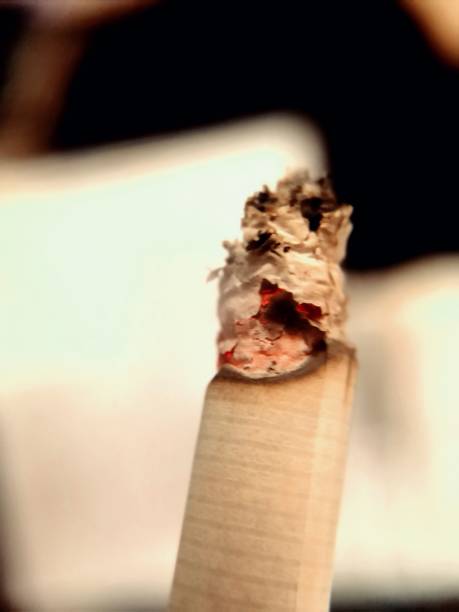 Cigarette closeup Burning smoke Lewandowski stock pictures, royalty-free photos & images