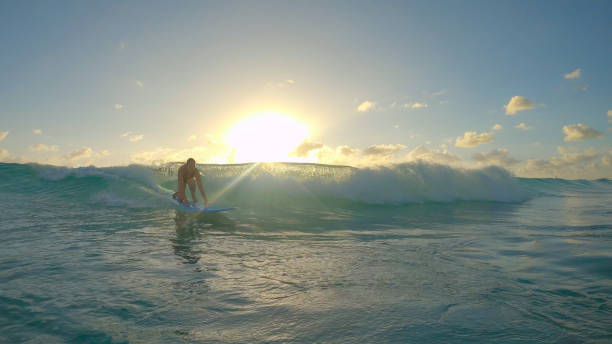 LENS FLARE: Cinematic shot of female beginner surfer riding a wave to the coast. stock photo