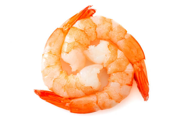 Circle of shrimps isolated on white background top view stock photo