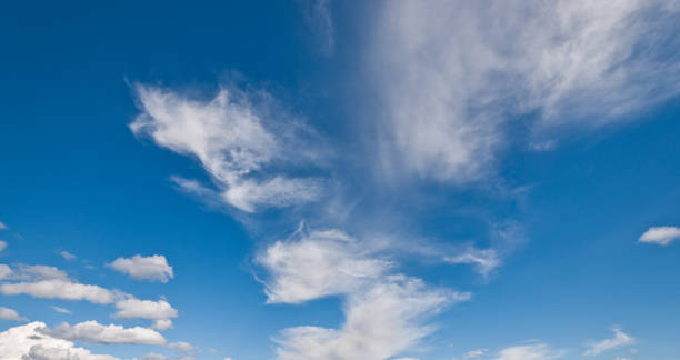 Cirrus Clouds in a Blue Sky Cirrus clouds appear in a blue sky over Conboy Lake National Wildlife Refuge near Trout Lake, Washington State, USA. jeff goulden national wildlife refuge stock pictures, royalty-free photos & images