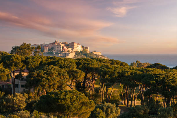 Citadel of Calvi in Balagne region of Corsica Early morning sun on the citadel of Calvi in the Balagne region of Corsica with pine trees in the foreground and the Mediterranean sea in the distance corsica stock pictures, royalty-free photos & images