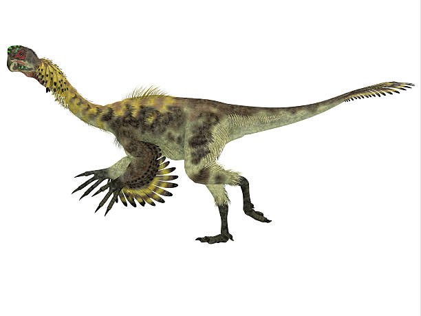 Best Omnivore Dinosaur Stock Photos, Pictures & Royalty-Free Images - iStock