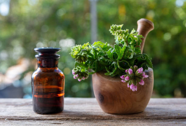 Citronella geranium essential oil on table, close up. Aromatherapy oil, mosquito repellent stock photo